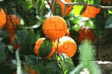 MARSU jigsaw puzzle