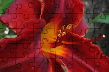 MARSU jigsaw puzzle