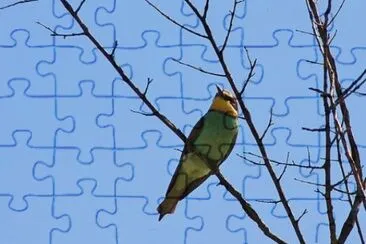 MARSU jigsaw puzzle