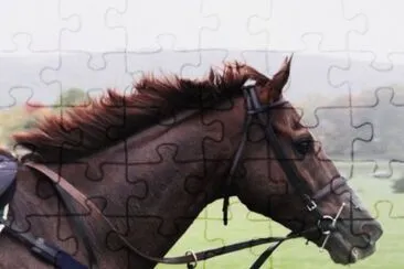 MARSU jigsaw puzzle