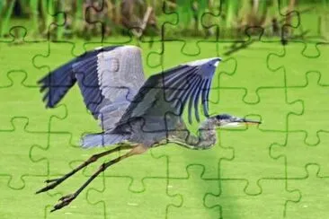 MARSU jigsaw puzzle
