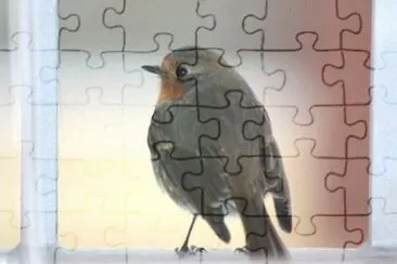 MARSU jigsaw puzzle