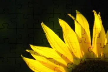 MARSU jigsaw puzzle