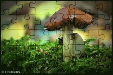 . jigsaw puzzle