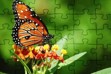 . jigsaw puzzle