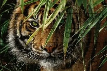 . jigsaw puzzle