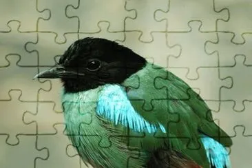 . jigsaw puzzle