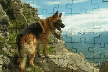 Pastor Aleman jigsaw puzzle