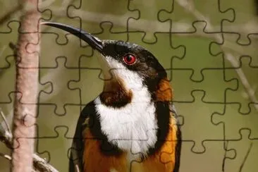. jigsaw puzzle