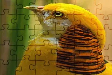 . jigsaw puzzle