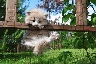 פאזל של Gatico