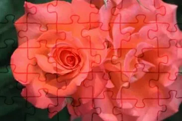 MARSU jigsaw puzzle
