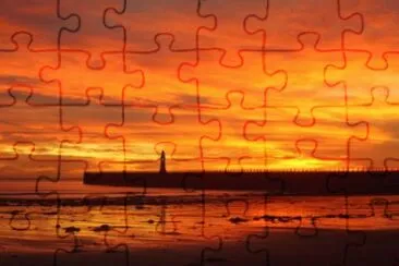  jigsaw puzzle