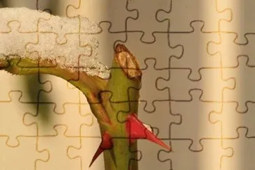 MARSU jigsaw puzzle