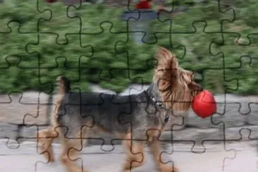 MARSU jigsaw puzzle