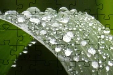 MARSU jigsaw puzzle