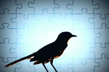 MARSU jigsaw puzzle