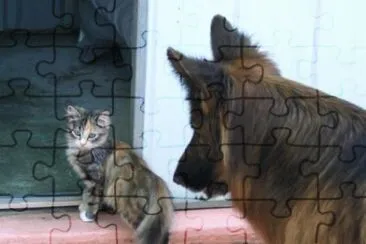 MARSU jigsaw puzzle