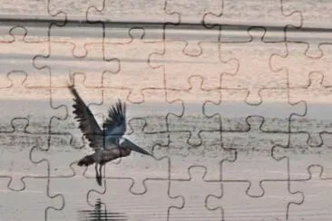 MARSU jigsaw puzzle