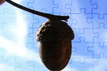 MARSU jigsaw puzzle