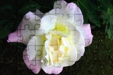 MARSU jigsaw puzzle