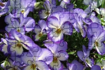 MARSU jigsaw puzzle