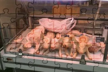 MARSU jigsaw puzzle