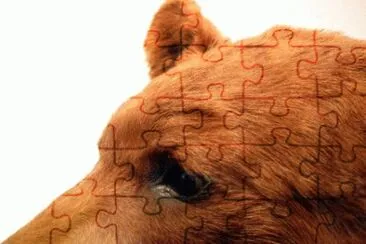 MARSU jigsaw puzzle