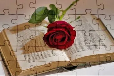 פאזל של ROSA CON LIBRO