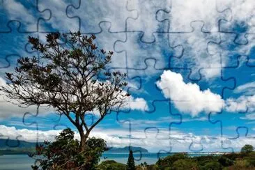 Lonesome Tree jigsaw puzzle