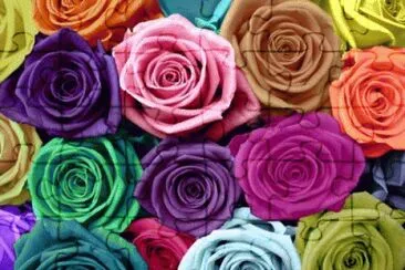 Rainbow Roses jigsaw puzzle
