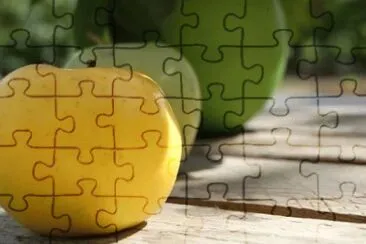 MARSU jigsaw puzzle