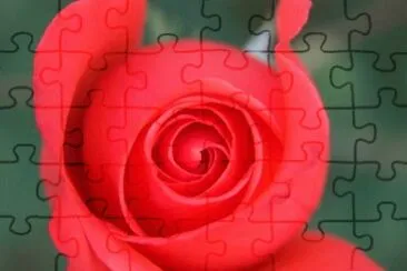 MARSU jigsaw puzzle