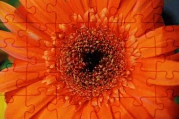 MARSU jigsaw puzzle