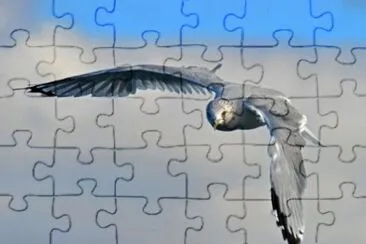MARSU jigsaw puzzle