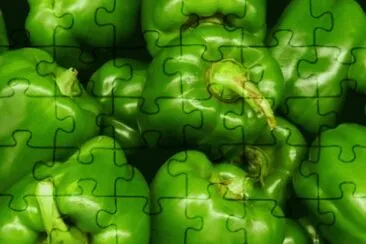 MARSU jigsaw puzzle