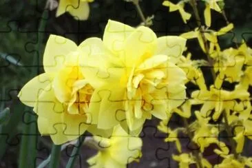MARSU jigsaw puzzle