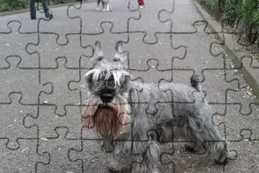 david5 jigsaw puzzle