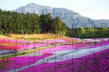 imagem jigsaw puzzle
