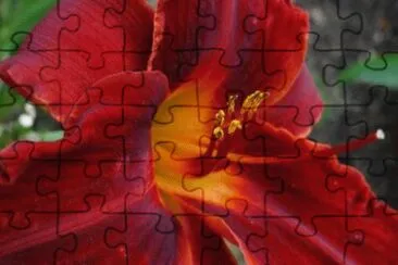 MARSU jigsaw puzzle