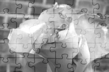 MARSU jigsaw puzzle