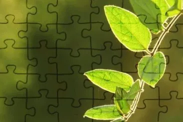 MARSU jigsaw puzzle