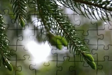 MARSU jigsaw puzzle
