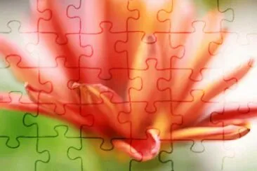 MARSU jigsaw puzzle