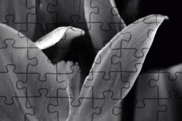 MARSU jigsaw puzzle