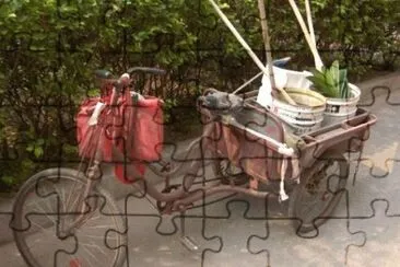 MARSU jigsaw puzzle