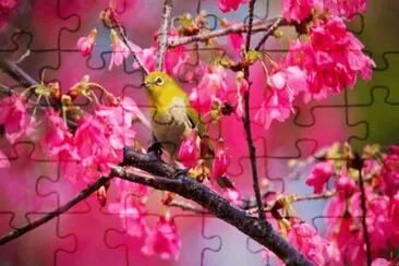Bird in Springtime jigsaw puzzle