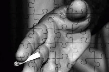 MARSU jigsaw puzzle