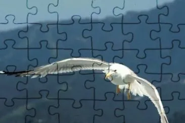 MARSU jigsaw puzzle