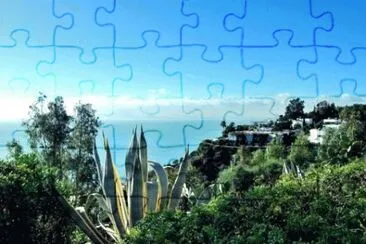 MARSU jigsaw puzzle